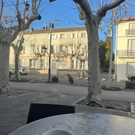 Le Segarius Maison Medievale Internet Wifi Gratuit Climatisation Jardin * Puisserguier