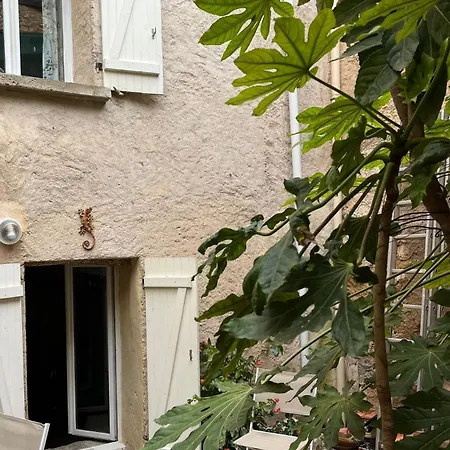Le Segarius Maison De Charme-Clim Dans Les Chambres - Cour Exterieure - Wifi