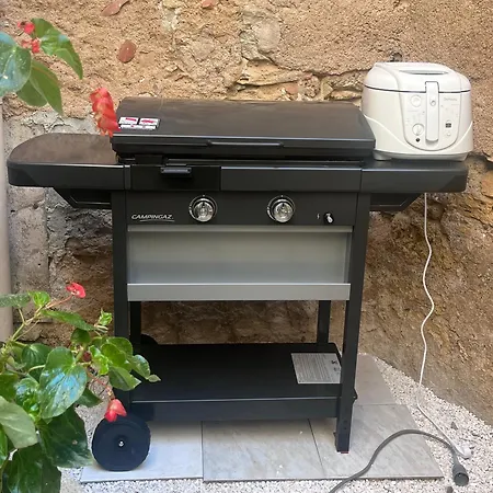 Le Segarius Maison De Charme-clim Dans Les - Cour Exterieure - Wifi Prázdninový dům