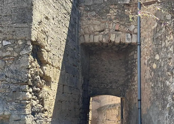 Le Segarius Superbe Maison Medievale Internet Wifi Gratuit Climatisation Jardin Vakantiehuis *