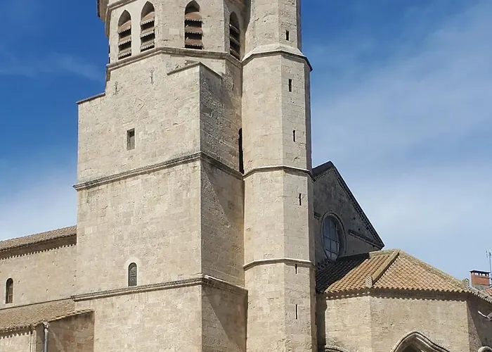 Le Segarius Superbe Maison Medievale Internet Wifi Gratuit Climatisation Jardin Vakantiehuis Puisserguier