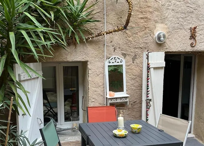 Le Segarius Superbe Maison Medievale Internet Wifi Gratuit Climatisation Jardin Vakantiehuis *