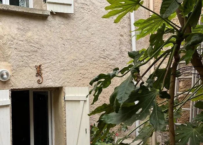 Le Segarius Superbe Maison Medievale Internet Wifi Gratuit Climatisation Jardin