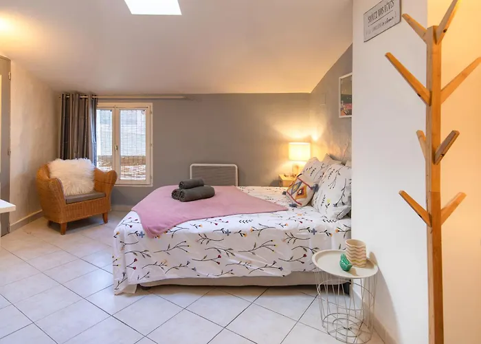 Vakantiehuis Le Segarius Superbe Maison Medievale Internet Wifi Gratuit Climatisation Jardin Puisserguier